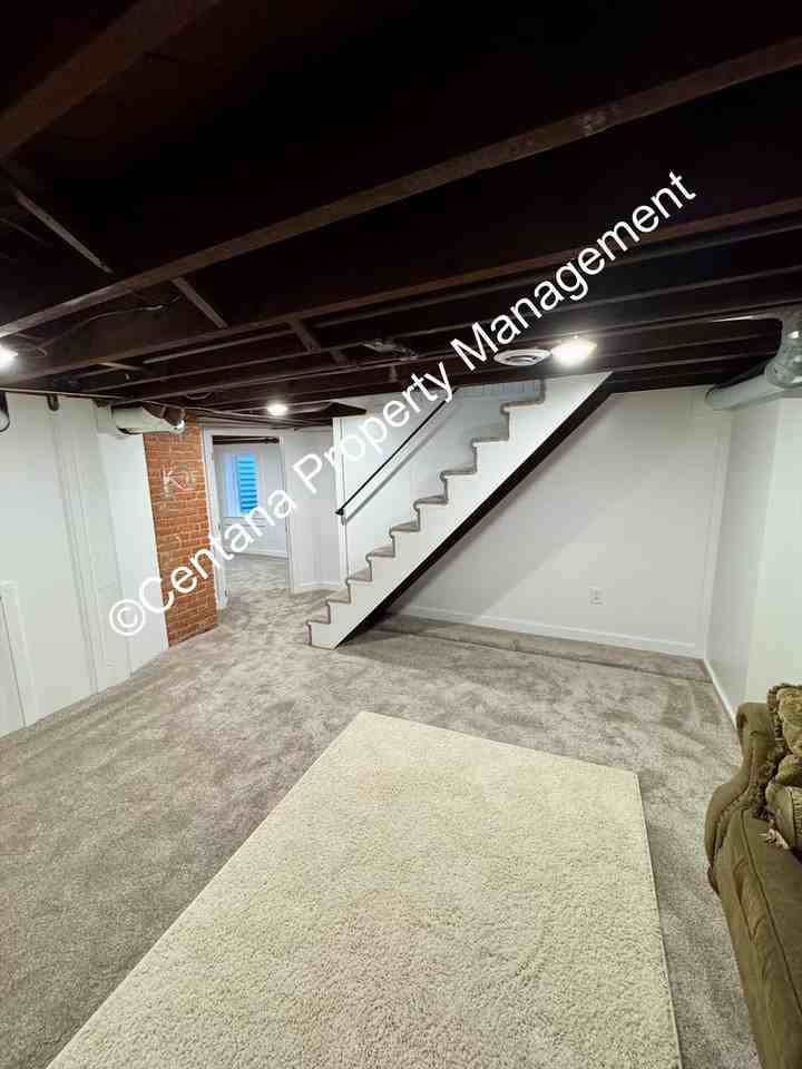 1107 1107 Lewisohn-Basement #BS - Photo 3 of 17