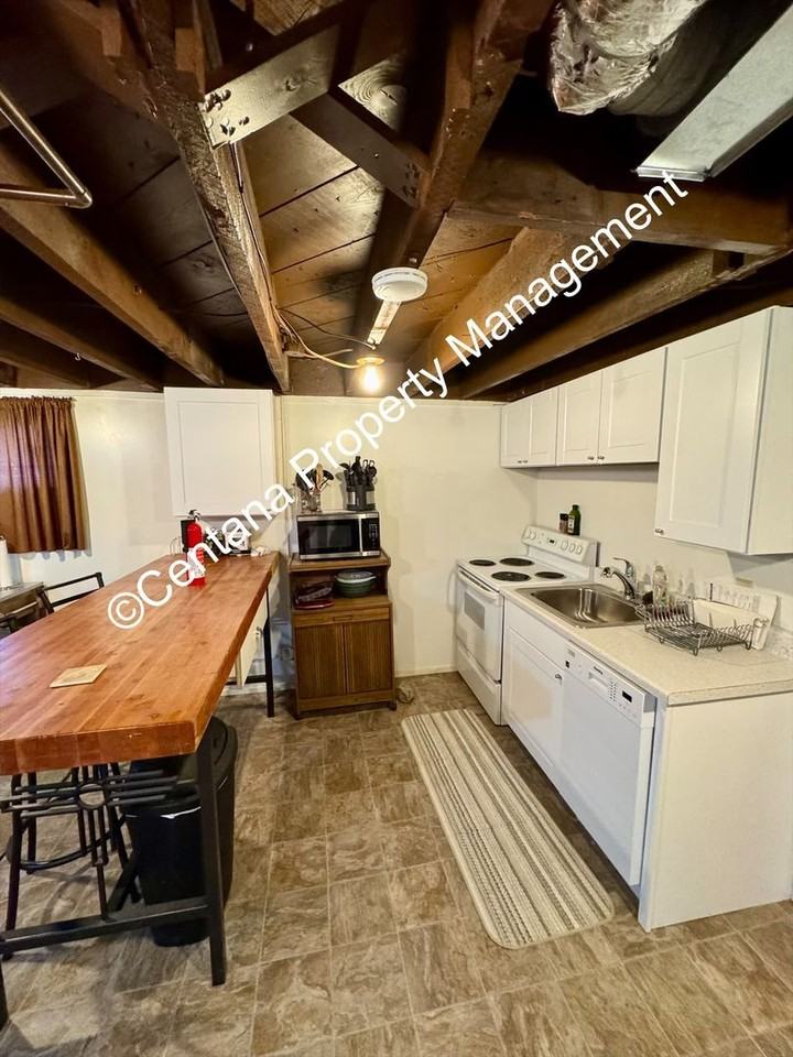 1107 1107 Lewisohn-Basement #BS - Photo 6 of 17
