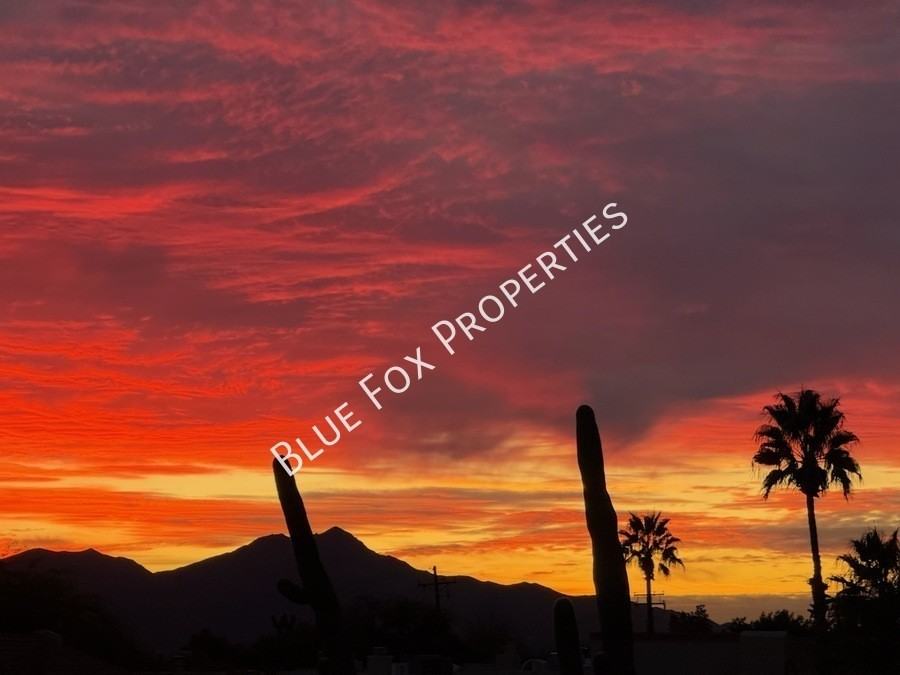 6217 N Saguaro Post Pl - Photo 2 of 24