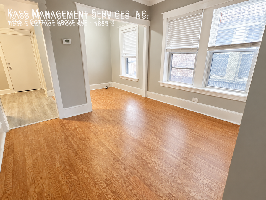 4856 S Cottage Grove Ave #4856-2 - Photo 4 of 12
