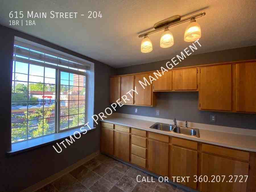 615 Main St #204 - Photo 3 of 12