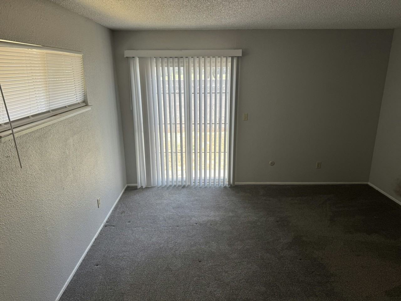 4240 76th Street, Unit 4242 - Photo 5 of 7