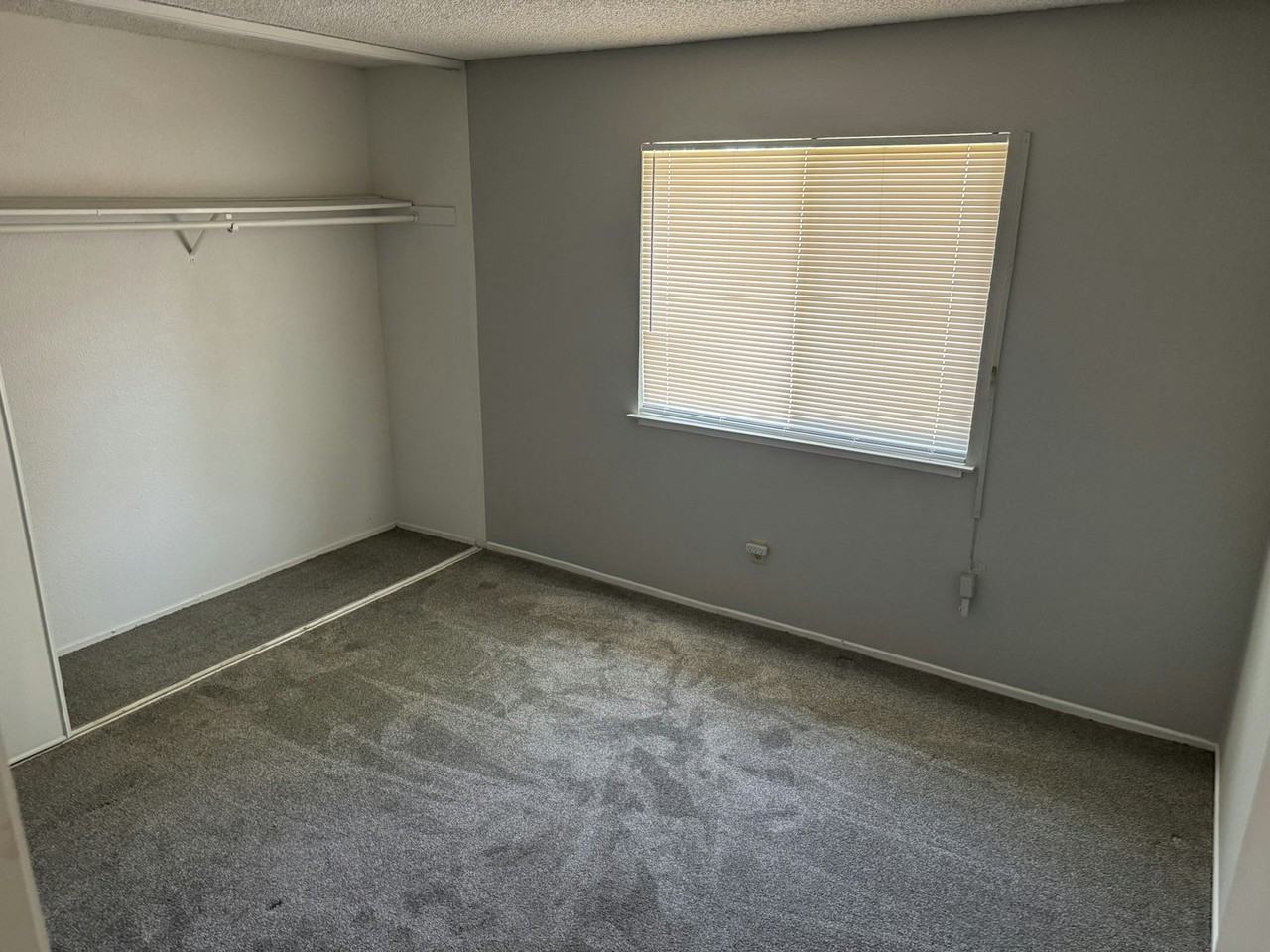 4240 76th Street, Unit 4242 - Photo 6 of 7