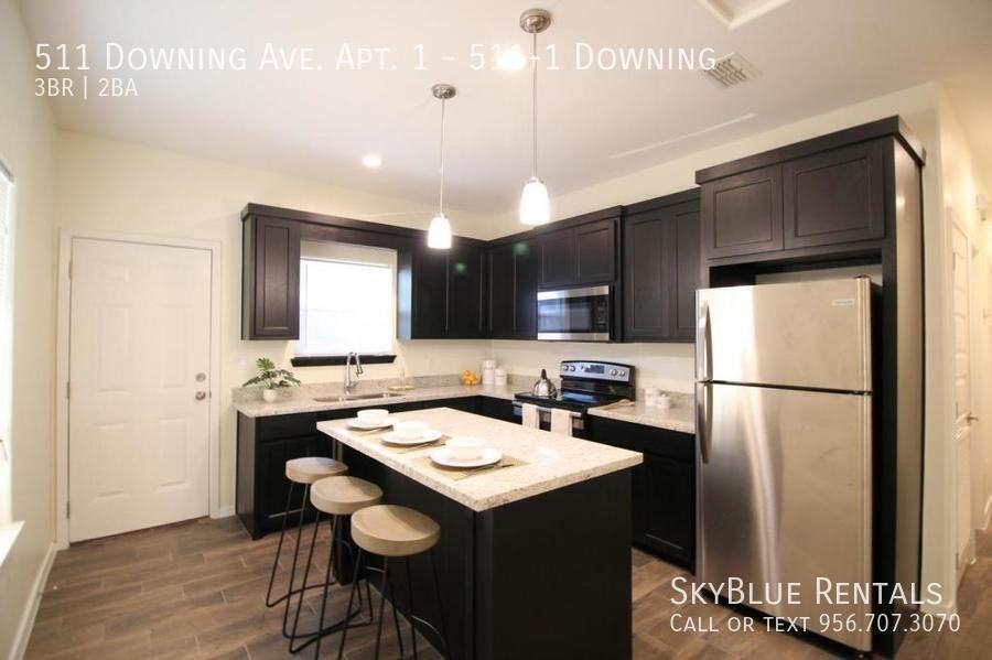 511 Downing Ave Apt 1 - Photo 3 of 12