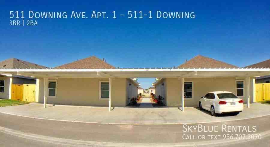 511 Downing Ave Apt 1 - Photo 6 of 12