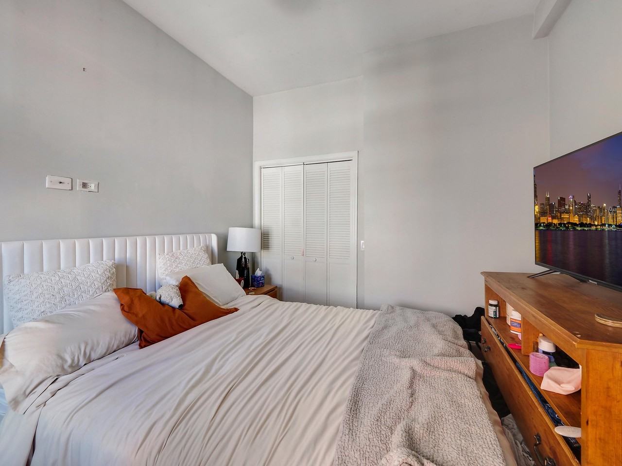 2652 N Halsted St #3F - Photo 6 of 12