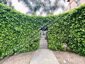 1207 N Orange Dr - Photo 1 of 1