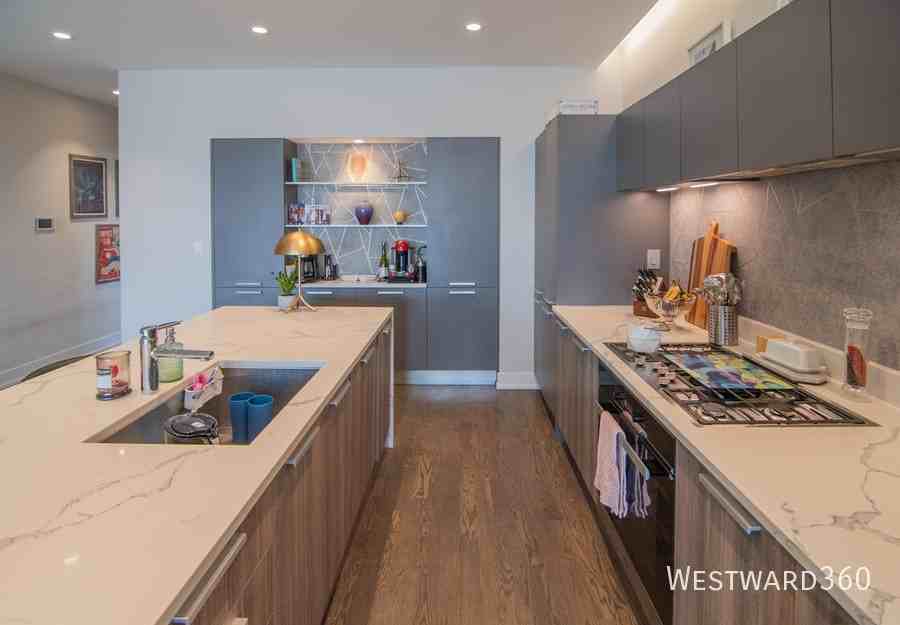 880 N Milwaukee Ave #2S - Photo 5 of 19