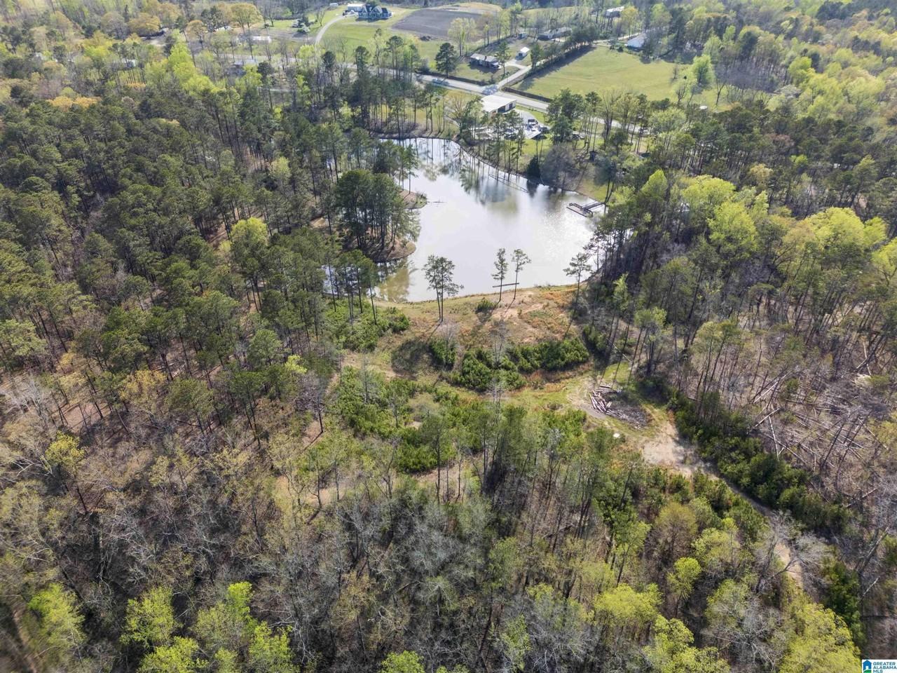 4083 County Road 158 - Photo 4 of 9