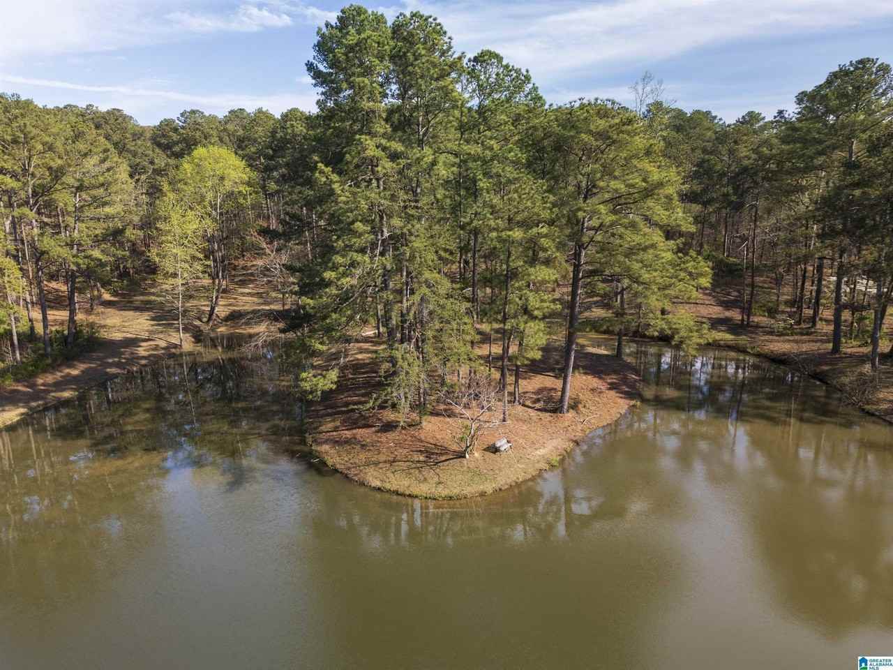 4083 County Road 158 - Photo 7 of 9