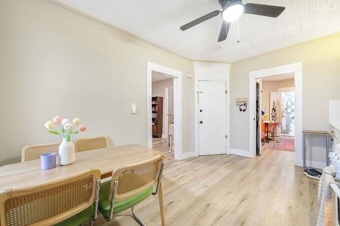 743 Harrison Ave #5 - Photo 4 of 20