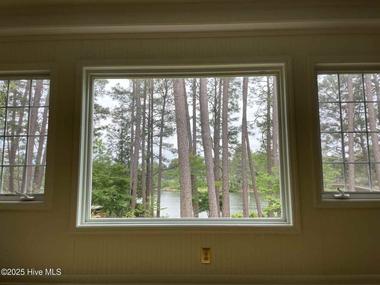 164 Pine Lake Dr - Photo 5 of 27