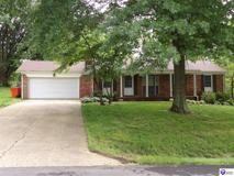 102 Tinted Cloud Cir - Photo 1 of 1