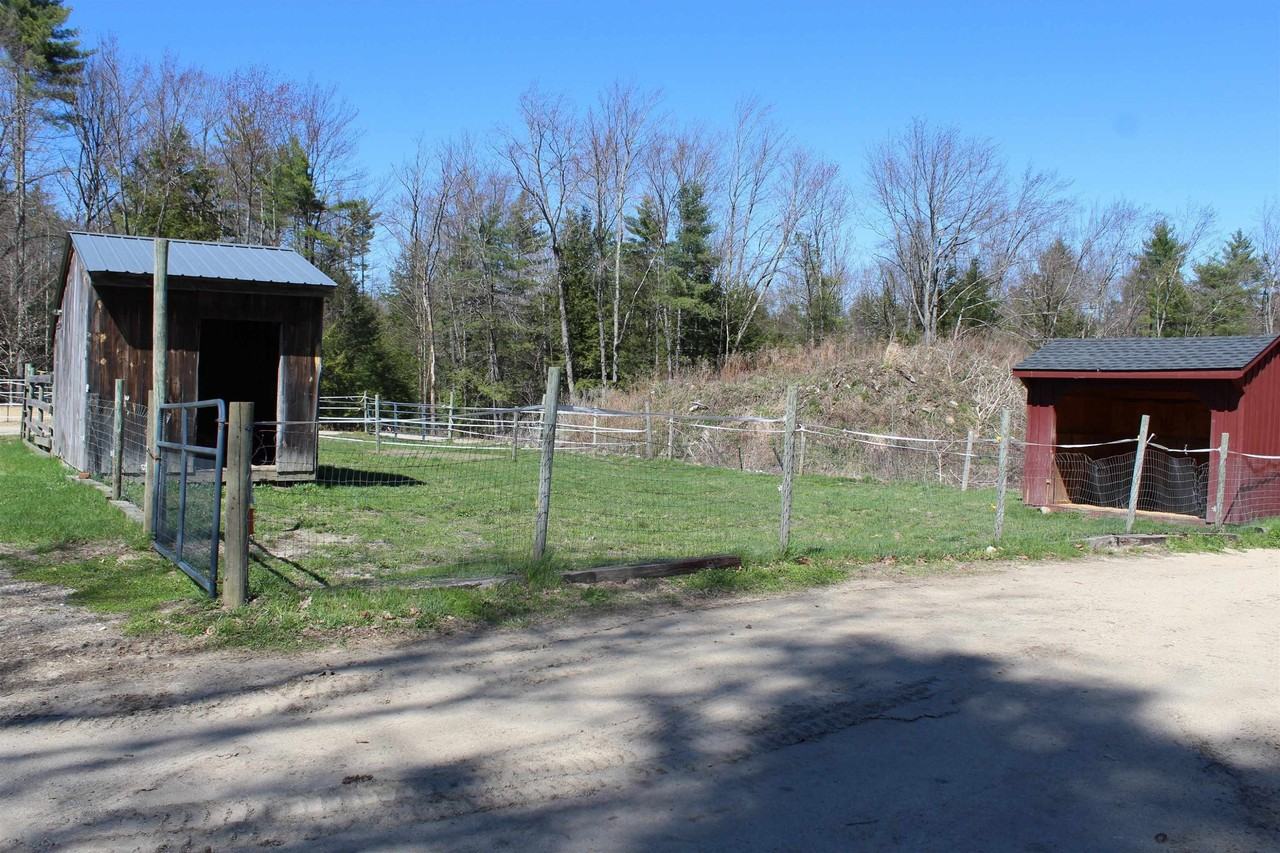 260 Bennington Rd - Photo 4 of 26