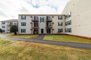 1703 White Cedar Blvd - Photo 1 of 1