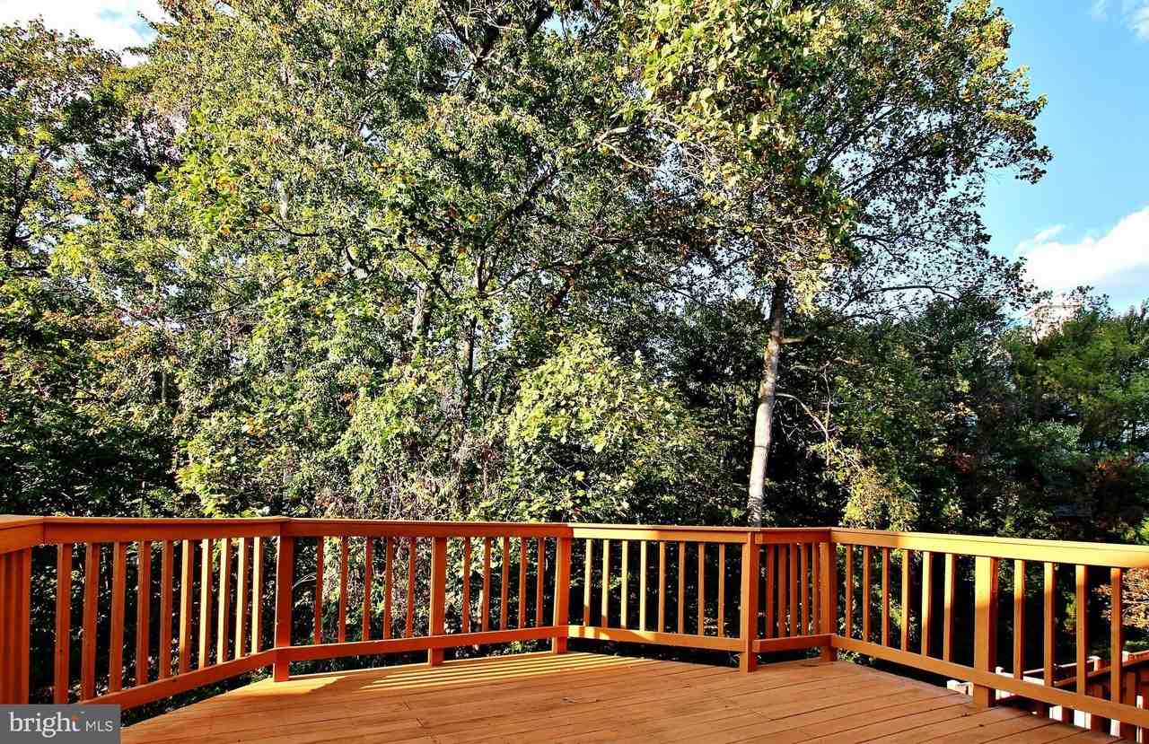 7321 Mallory Ln - Photo 6 of 37
