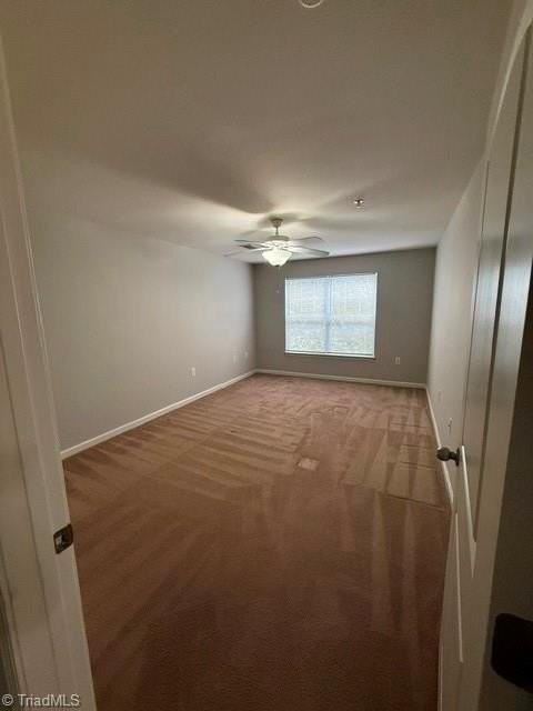 4455 Brassfield Dr #211 - Photo 5 of 10