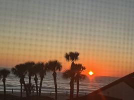 featured image of 1945 Gulf Of Mexico Dr #213
