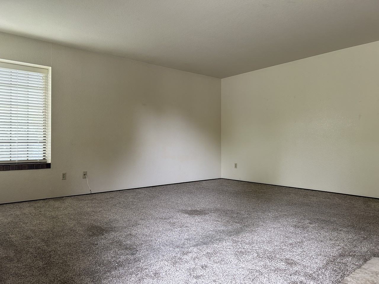 3255 Holly Dr #A - Photo 3 of 12