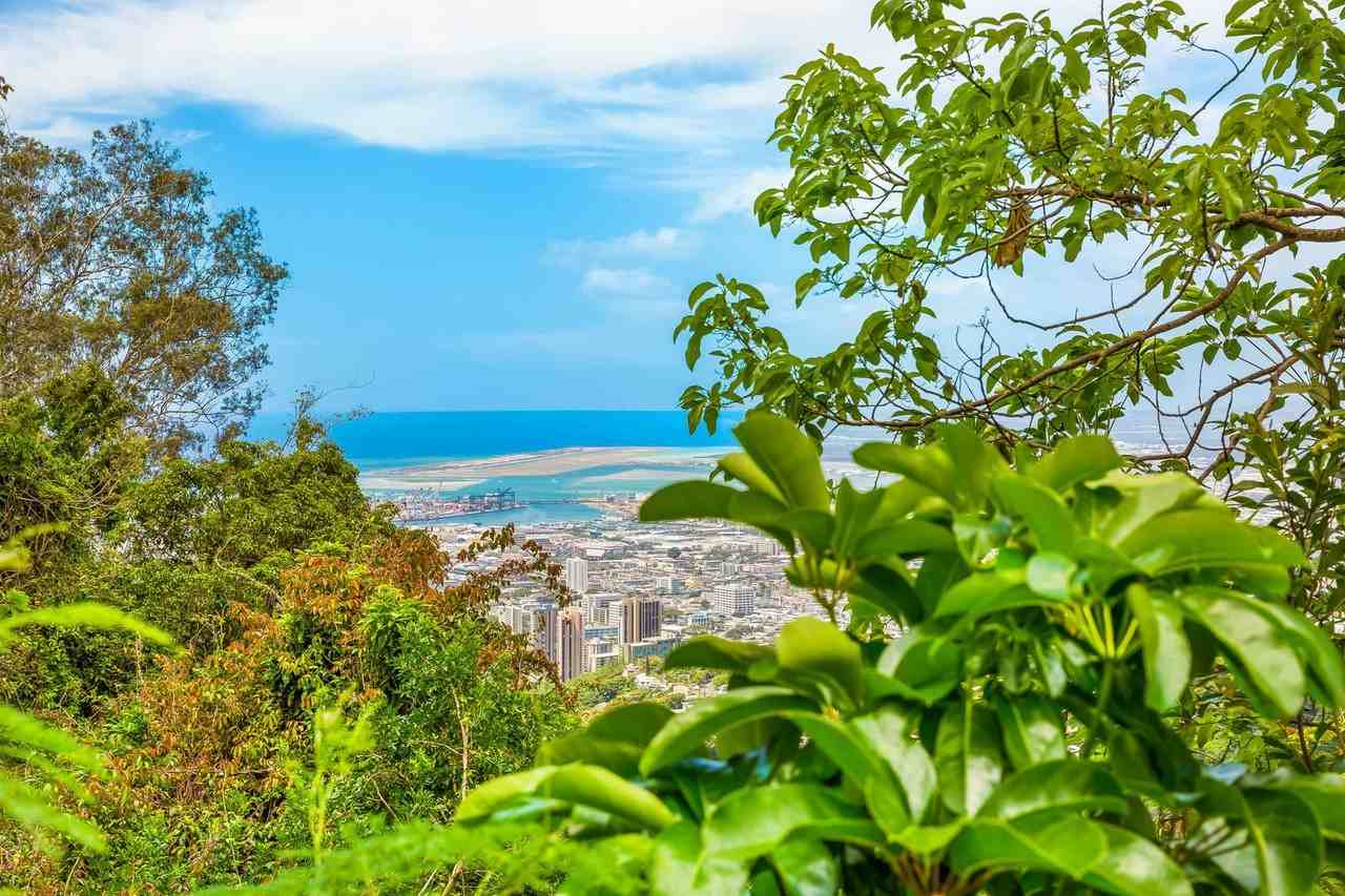 3310 Tantalus Dr #A - Photo 3 of 33