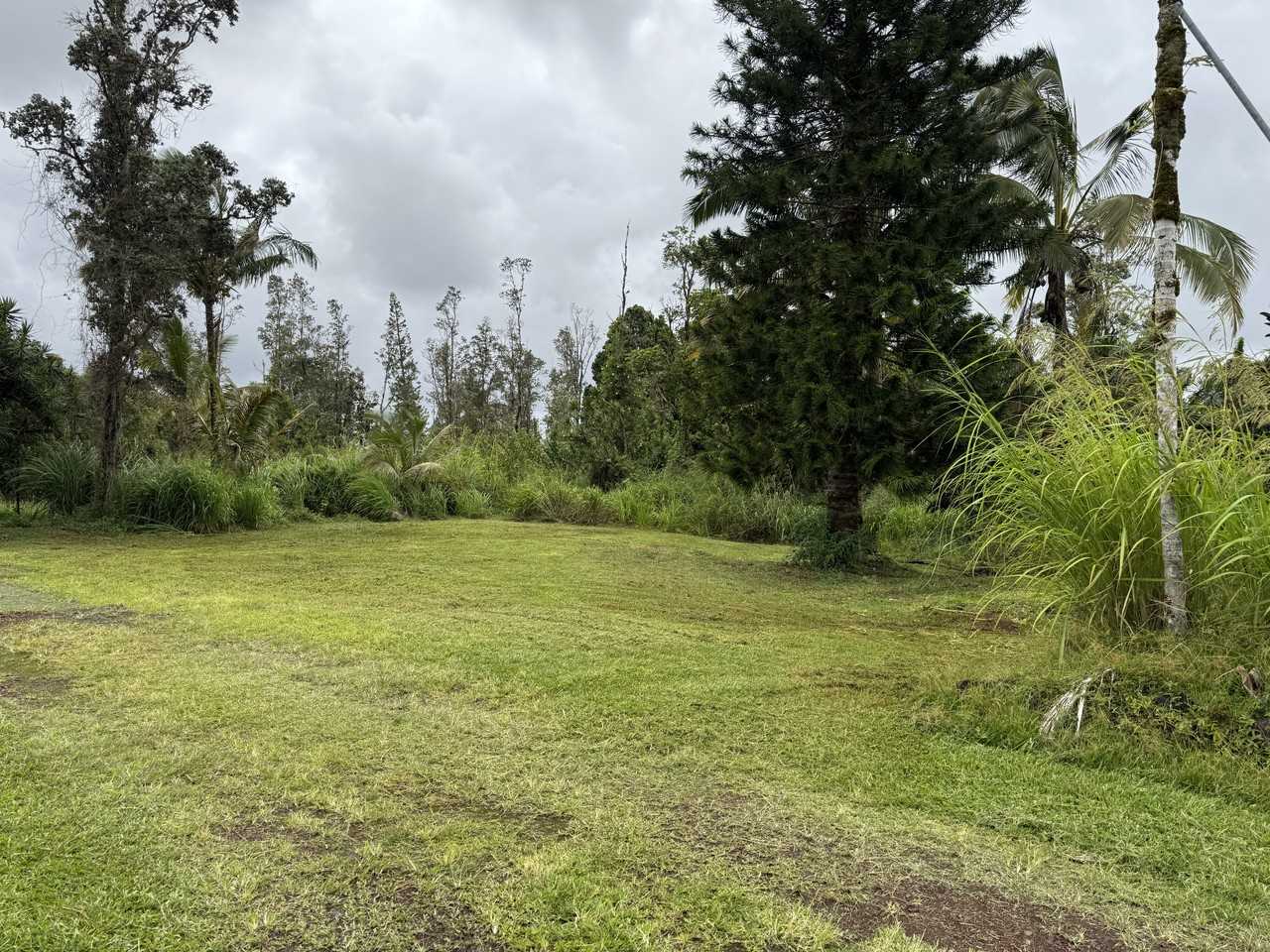 16-2076 King Kamehameha Blvd #A - Photo 4 of 14