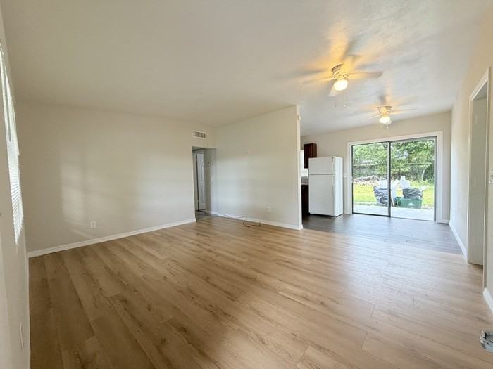 310 Kentia Rd - Photo 5 of 12