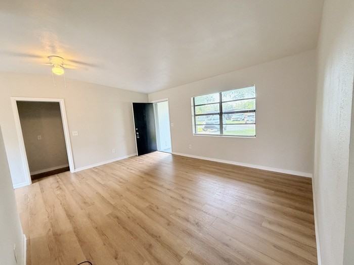 310 Kentia Rd - Photo 6 of 12