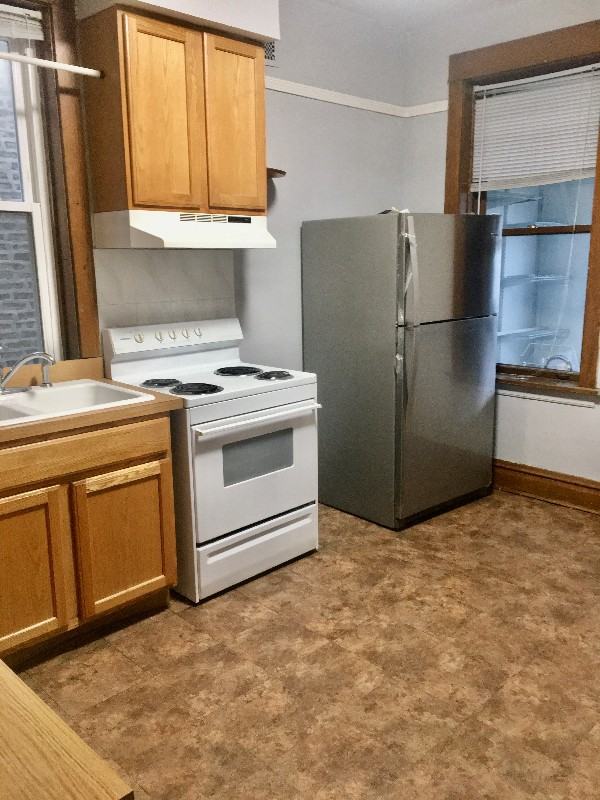4242 N Damen Ave #1st - Photo 6 of 14