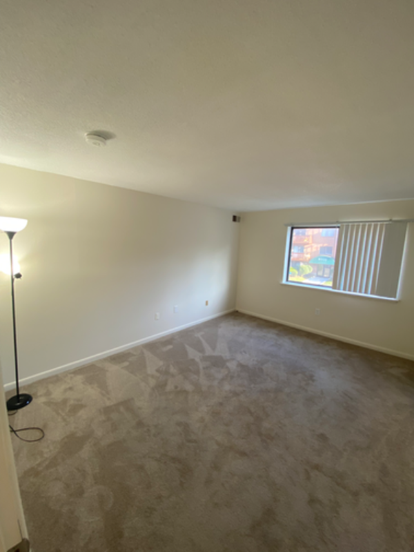 1217 Harbor View Dr #1217 - Photo 6 of 15