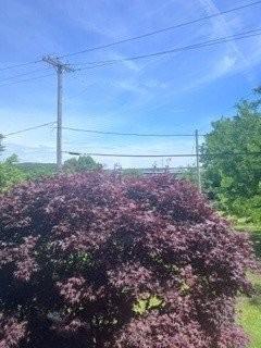 25 Waterman Ave #5 - Photo 3 of 14