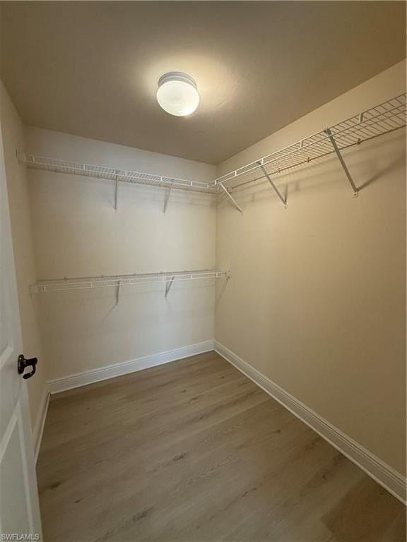 3968 Pomodoro Cir #202 - Photo 7 of 17