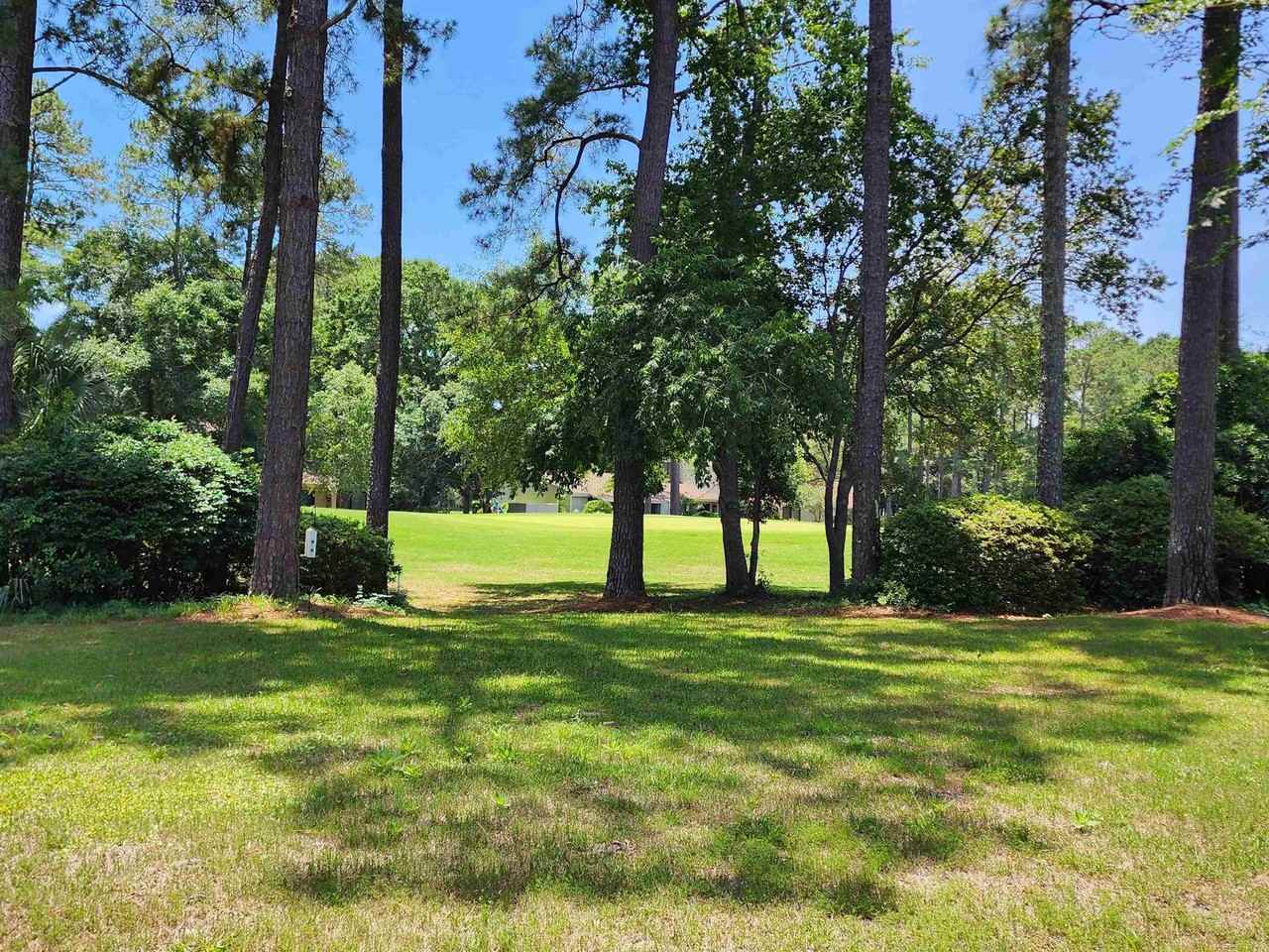 166 Tall Pines Way - Photo 7 of 37