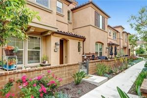 featured image of 138 Finch