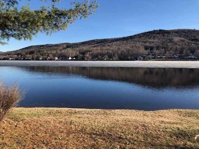 94 Ice House Rd #94 - Photo 2 of 18