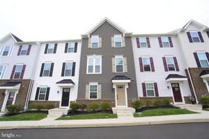 featured image of 125 Dragon Dr