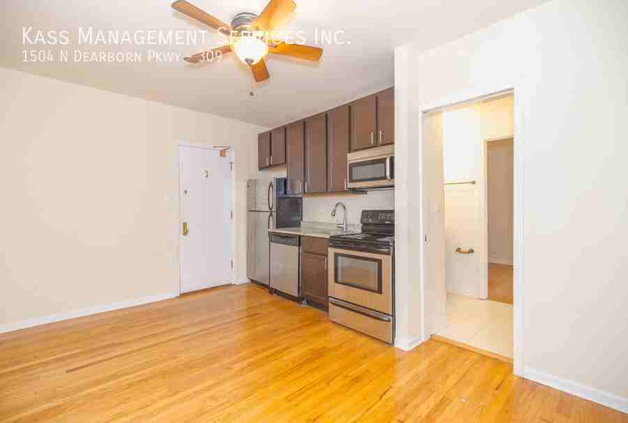 1504 N Dearborn Pkwy, Chicago, IL - Photo 5 of 19