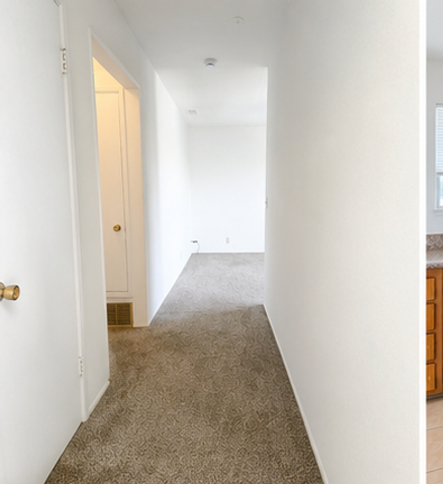 366 - 3002 Magliocco Dr - Photo 2 of 13