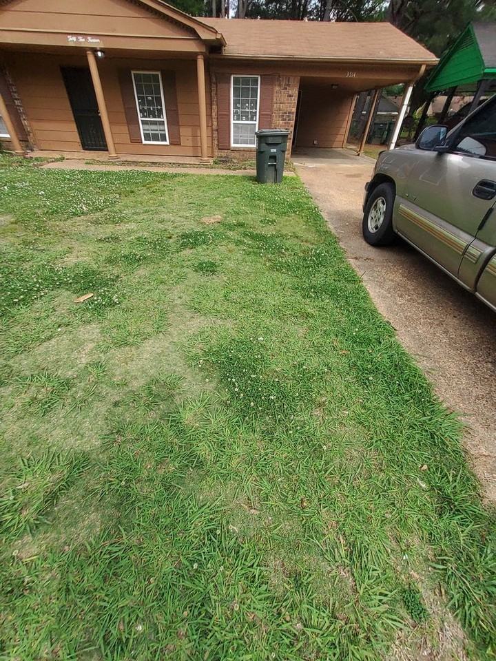 3514 Clearbrook St - Photo 3 of 4