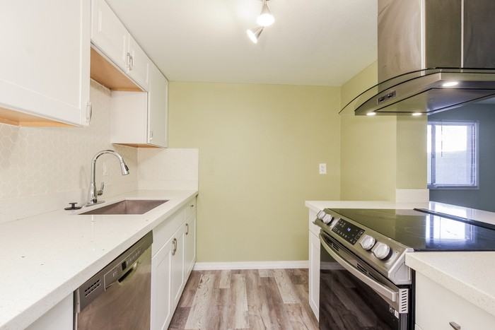 4009 W Palomino Rd - Photo 4 of 14