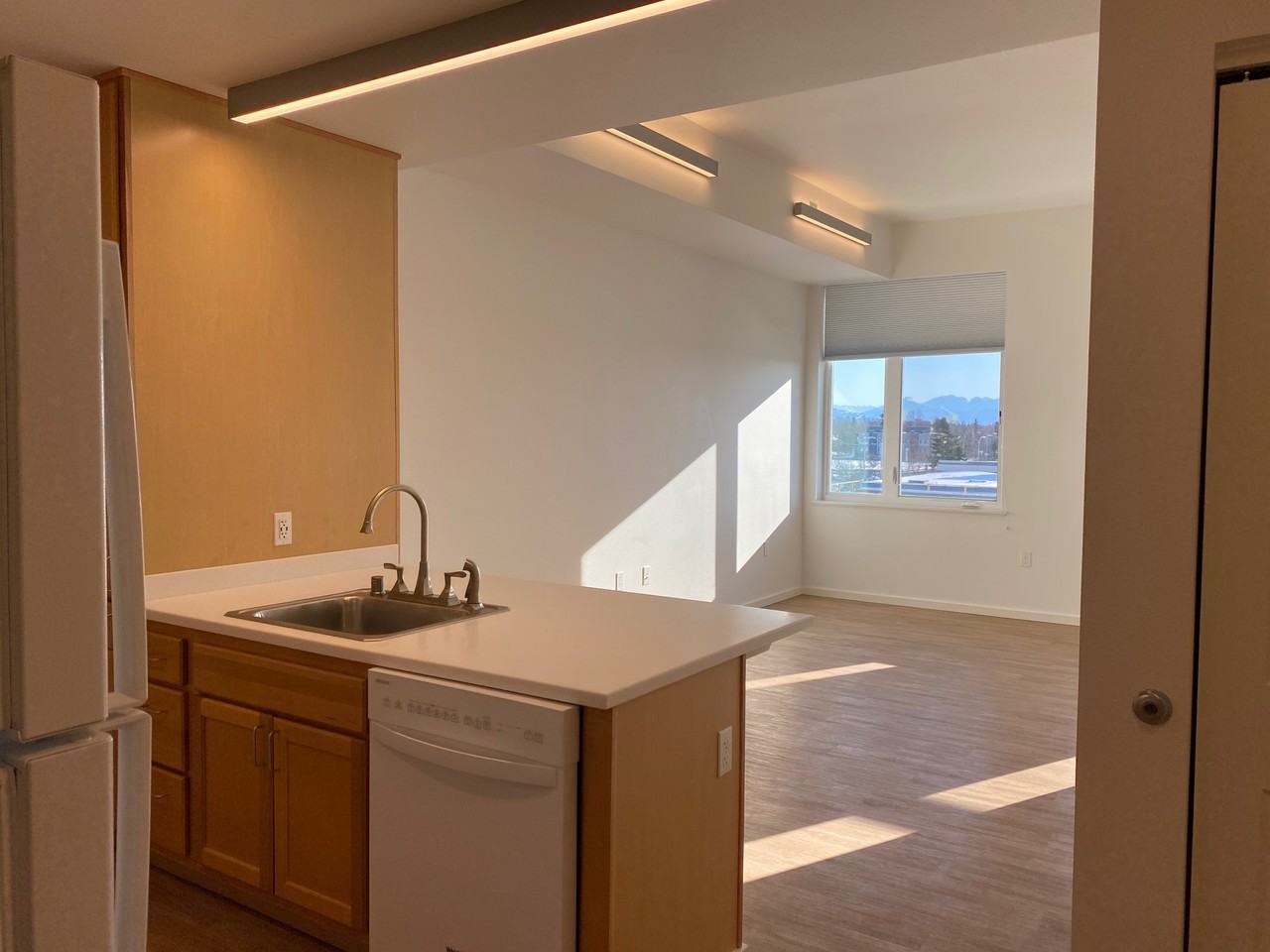 925 W 7th Ave #415 - Photo 4 of 10