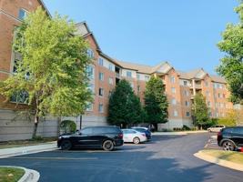featured image of 125 N Buffalo Grove Rd #313