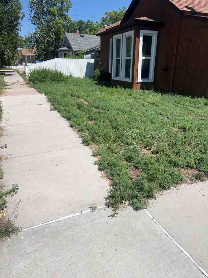 900 E 19th St #1 - Photo 2 of 10