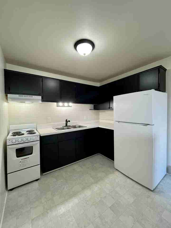 720 Harrison Blvd #20 - Photo 4 of 11
