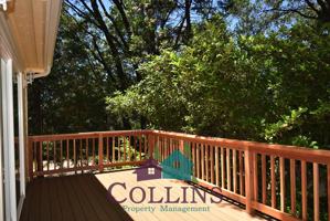 featured image of 14048 Honeysuckle Way #1