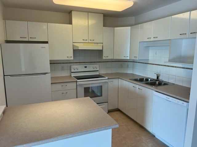 1805 - 4425 Halifax Street - Photo 3 of 11