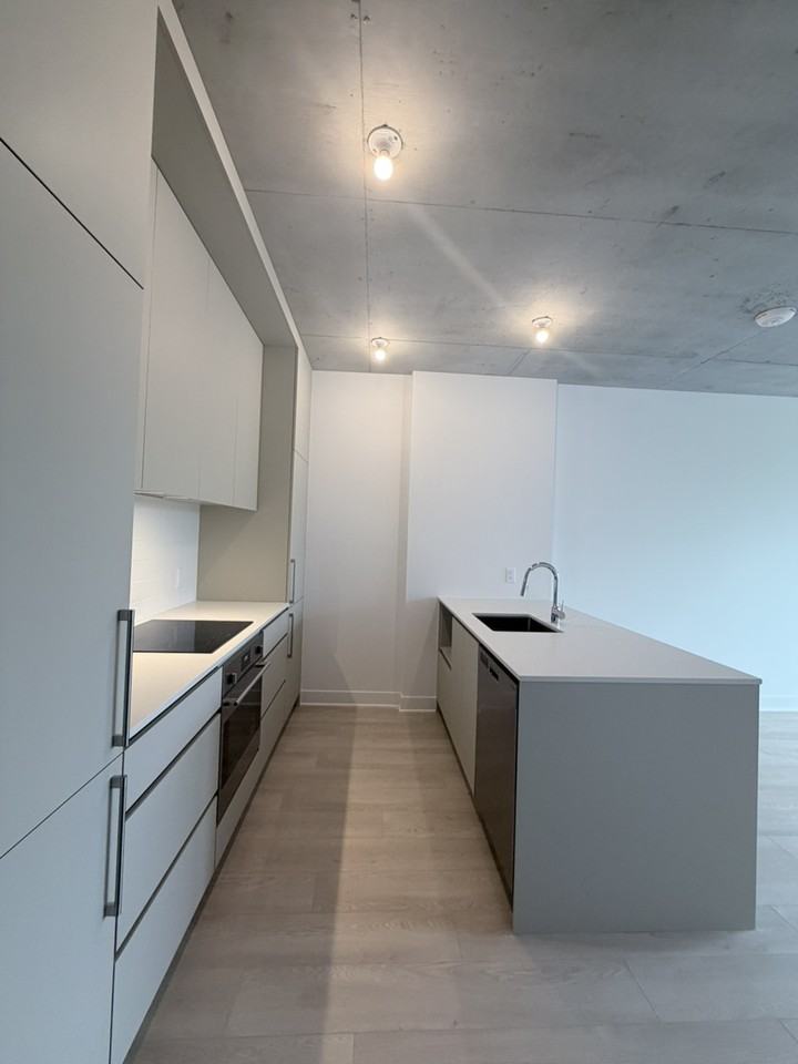 3045 Boul de l'Assomption - Photo 3 of 20