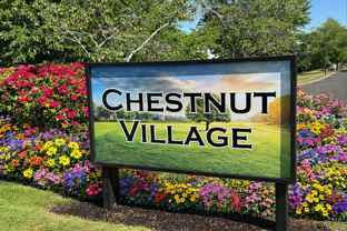 Chestnut Village - Photo 1 of 1