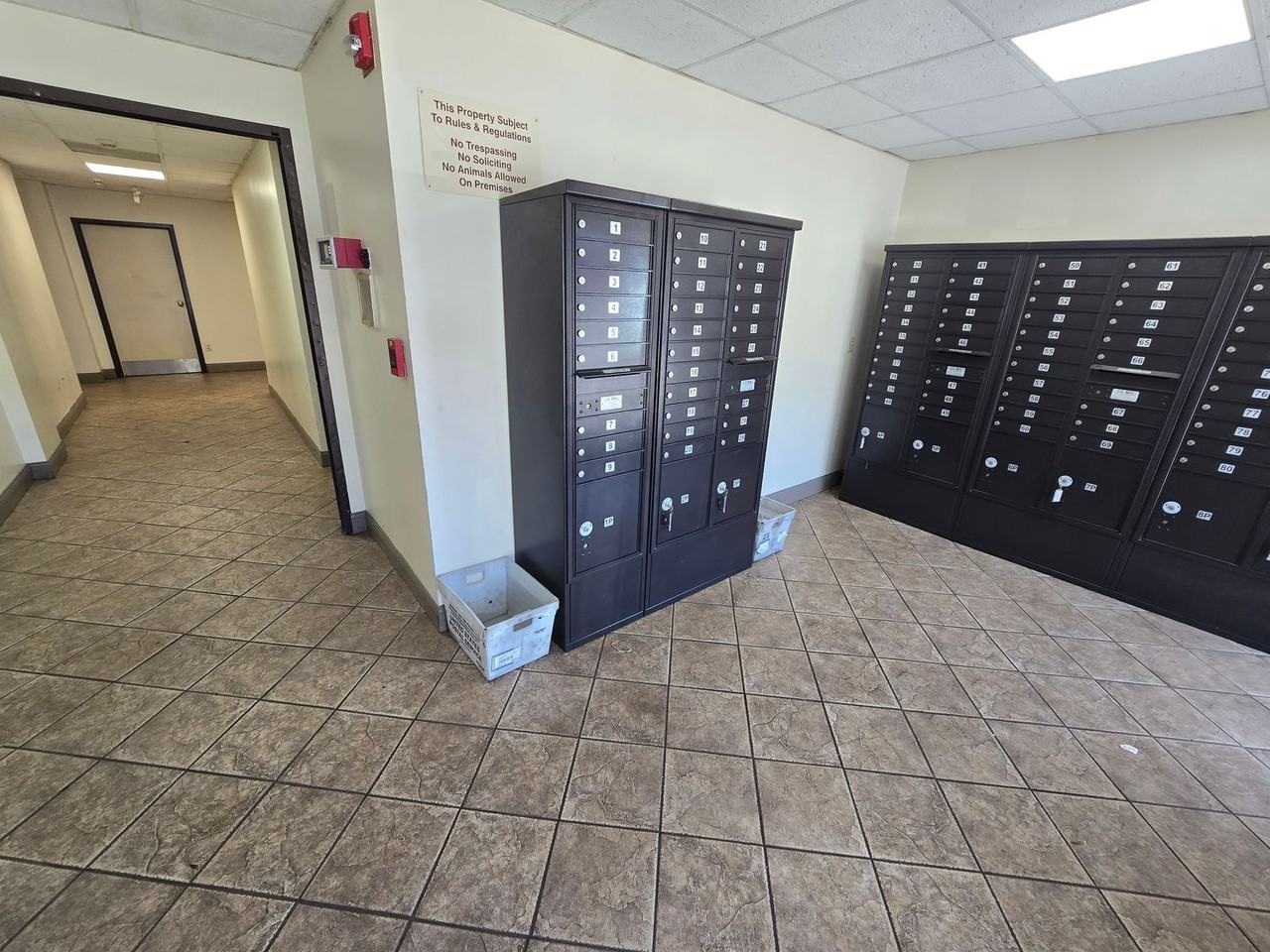 2009 Greene St #513 - Photo 4 of 19