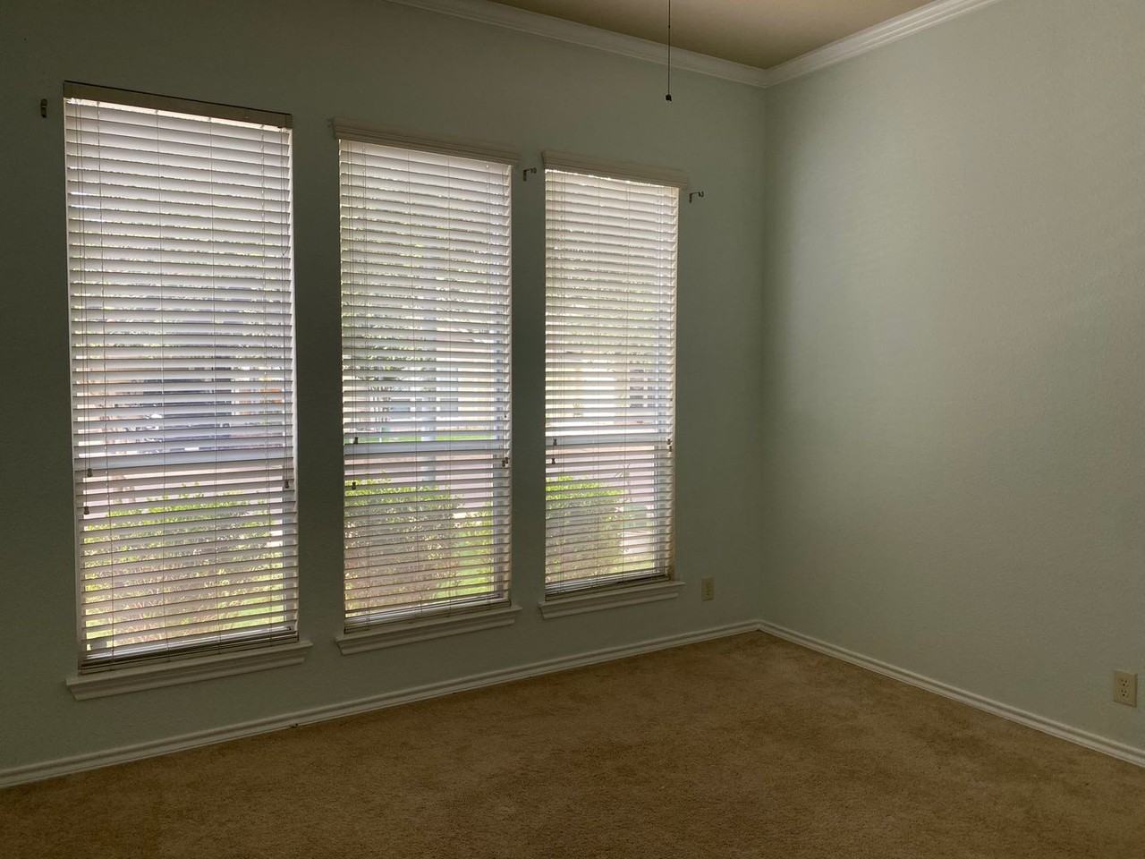 6819 Terra Rye - Photo 5 of 7