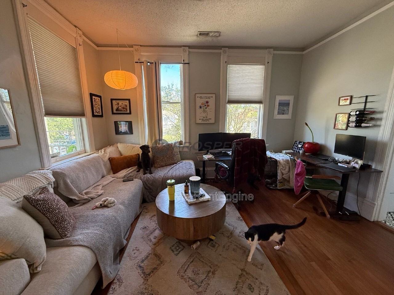 221 Congress St #5 - Photo 3 of 35